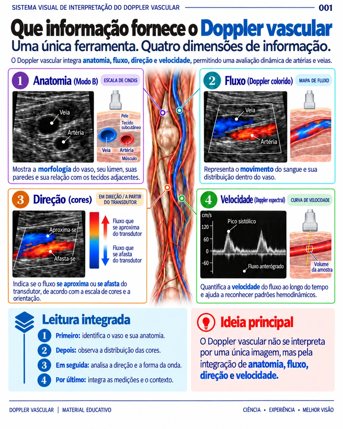 Página 1: Quais informações o Doppler fornece. Amostra do material digital de Doppler vascular.