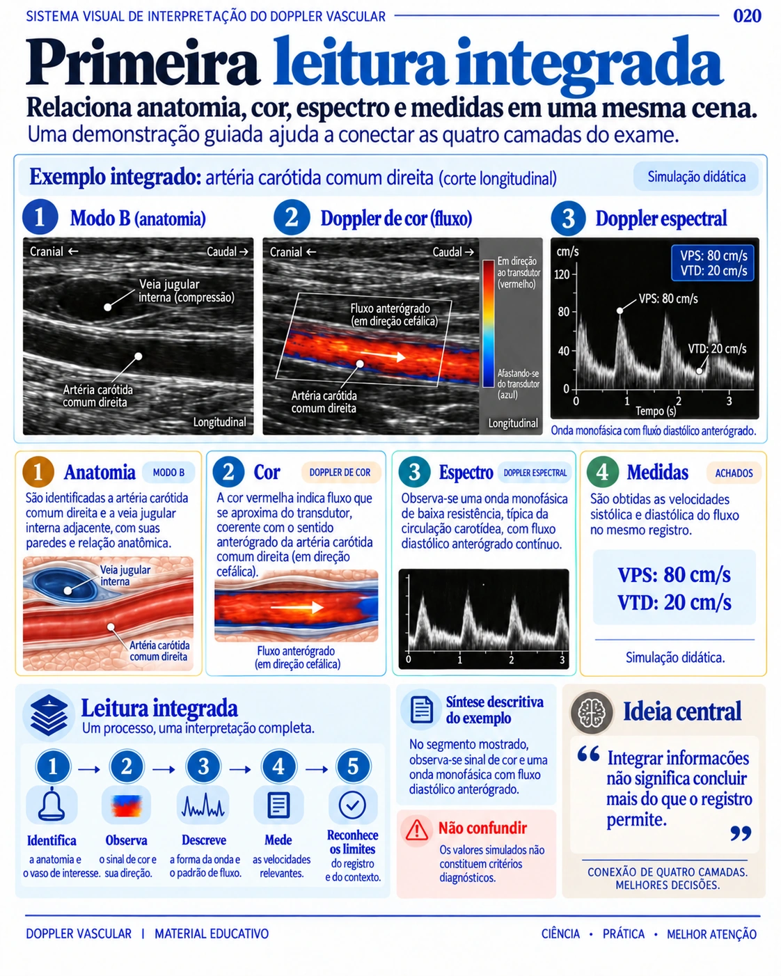 Página real do Sistema Visual: Primeira leitura integrada, com anatomia, modo B, Doppler colorido, espectro e medições.