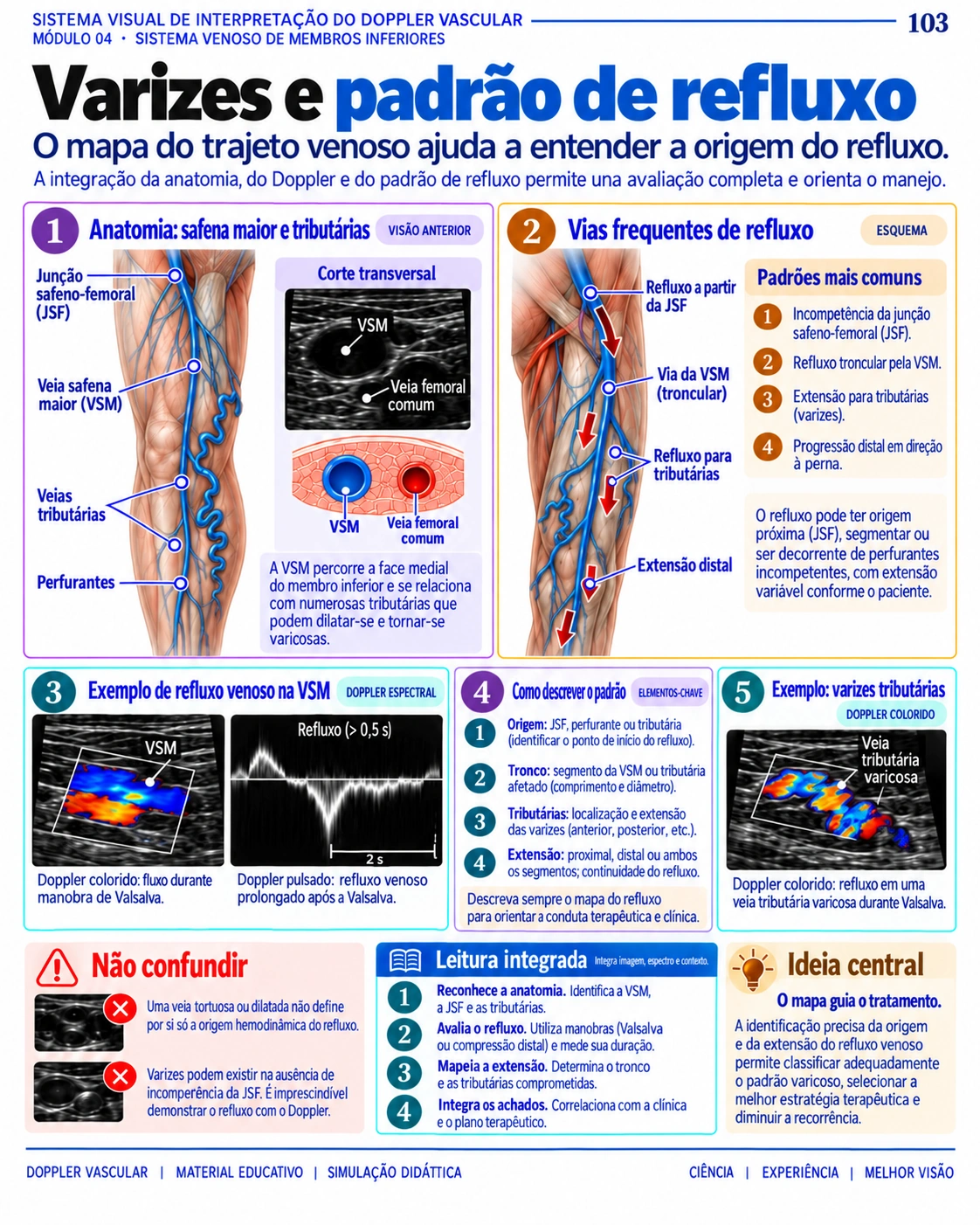 Página 103: Varizes e padrão de refluxo. Amostra do material digital de Doppler vascular.